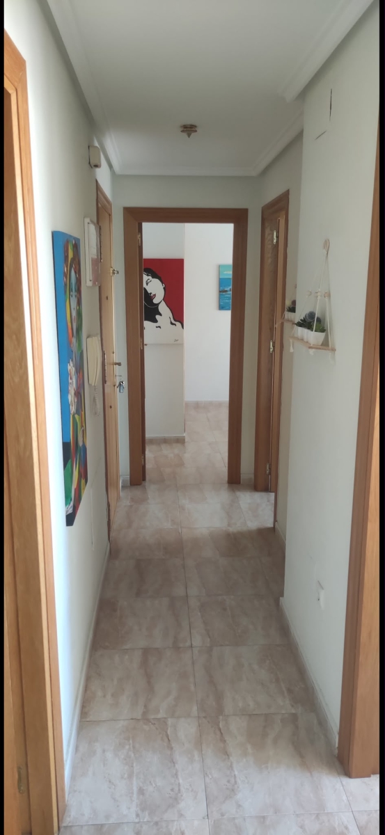 Apartamento · Segunda Mano · 311